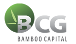 BCG logo