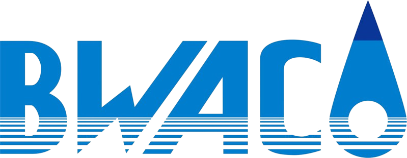 BWS logo