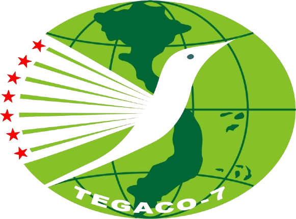 DM7 logo