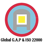DMN logo
