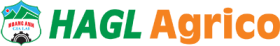 HNG logo