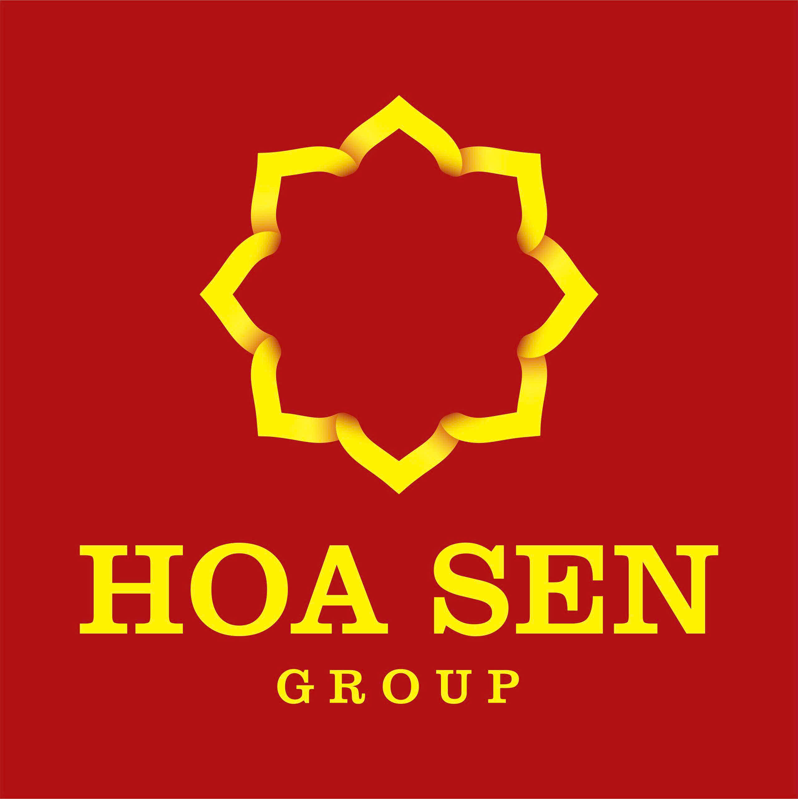 HSG logo