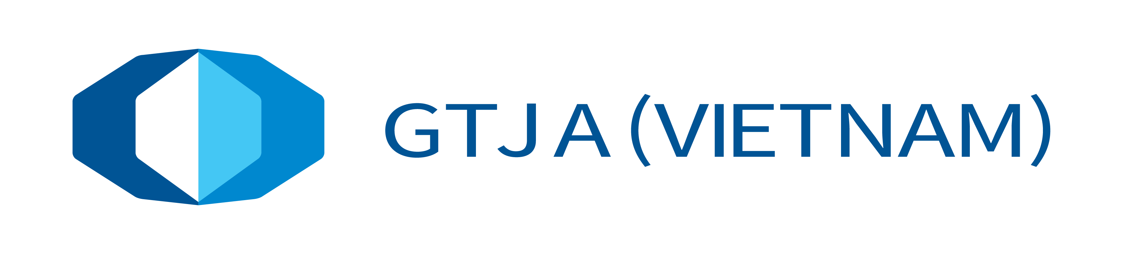 IVS logo