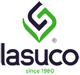 LSS logo