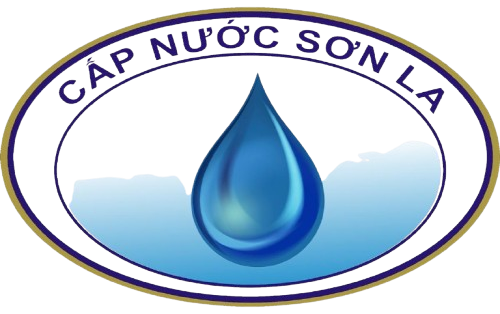 NSL logo