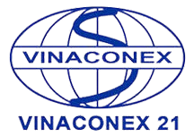 V21 logo