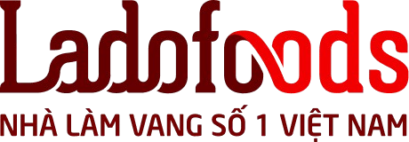 VDL logo