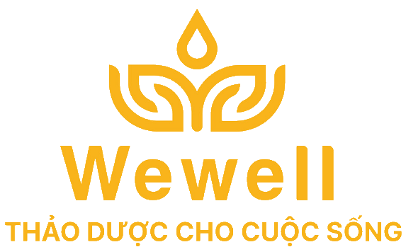 VHE logo