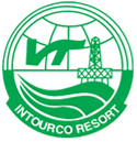 VIR logo