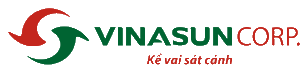 VNS logo