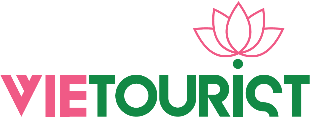 VTD logo