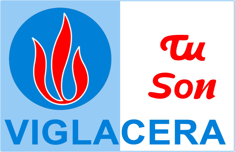 VTS logo