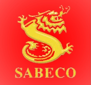 WSB logo